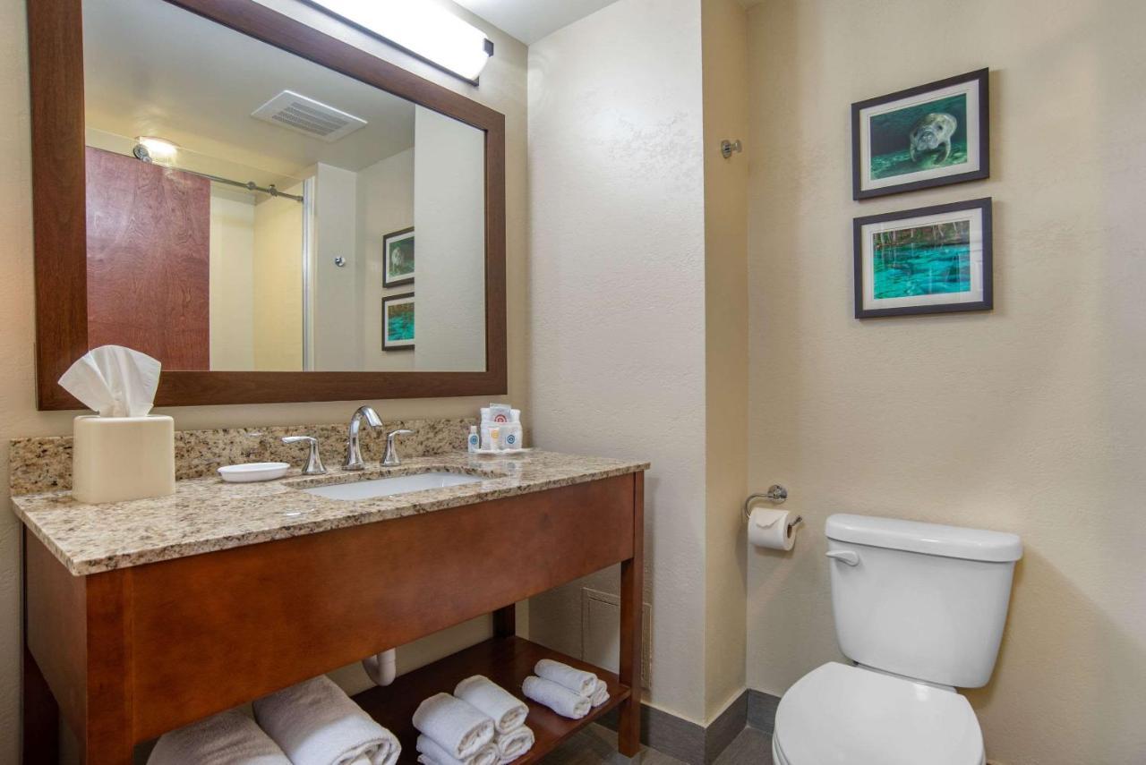 Comfort Suites Tallahassee Capitol - University Area Værelse billede